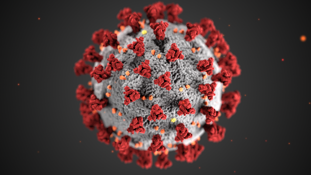 This illustration, created at the Centers for Disease Control and Prevention (CDC), reveals ultrastructural morphology exhibited by coronaviruses. Note the spikes that adorn the outer surface of the virus, which impart the look of a corona surrounding the virion, when viewed electron microscopically. A novel coronavirus, named Severe Acute Respiratory Syndrome coronavirus 2 (SARS-CoV-2), was identified as the cause of an outbreak of respiratory illness first detected in Wuhan, China in 2019. The illness caused by this virus has been named coronavirus disease 2019 (COVID-19).